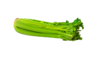 Celery